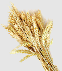 manbet官网-相信品牌力量