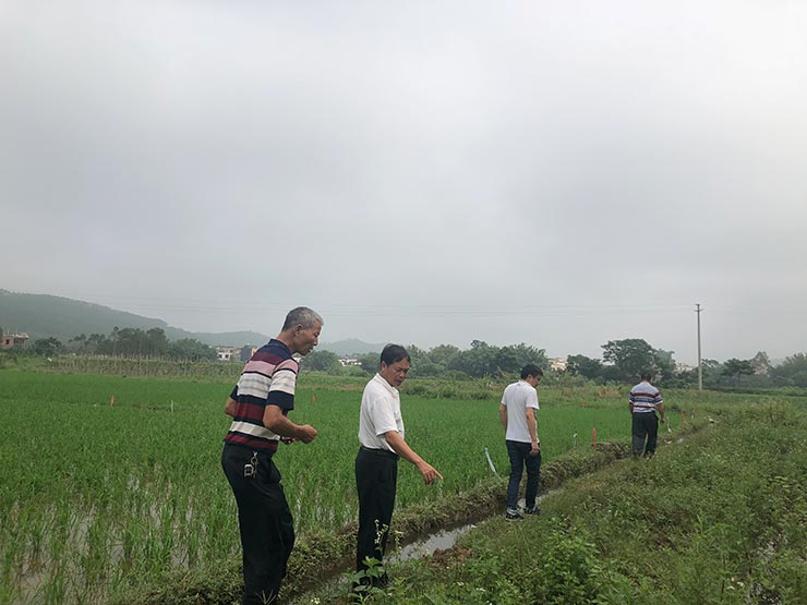 manbet官网-相信品牌力量