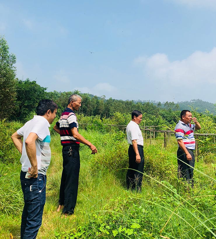 manbet官网-相信品牌力量