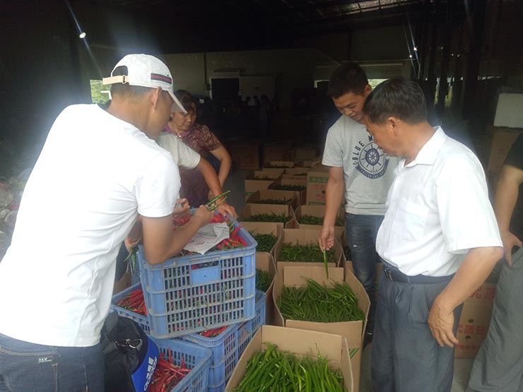 manbet官网-相信品牌力量