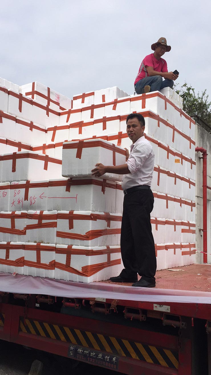 manbet官网-相信品牌力量