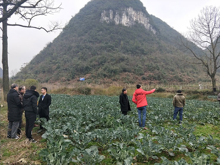 manbet官网-相信品牌力量