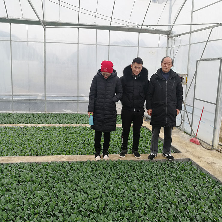 manbet官网-相信品牌力量