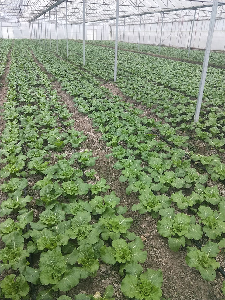 manbet官网-相信品牌力量