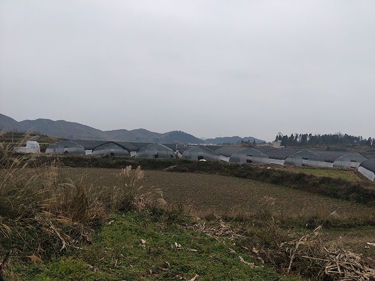 manbet官网-相信品牌力量