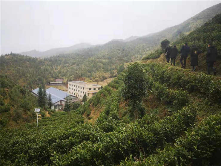 manbet官网-相信品牌力量