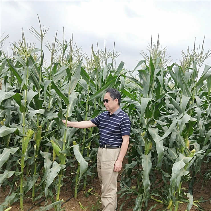 manbet官网-相信品牌力量