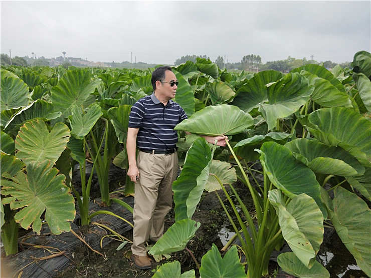 manbet官网-相信品牌力量