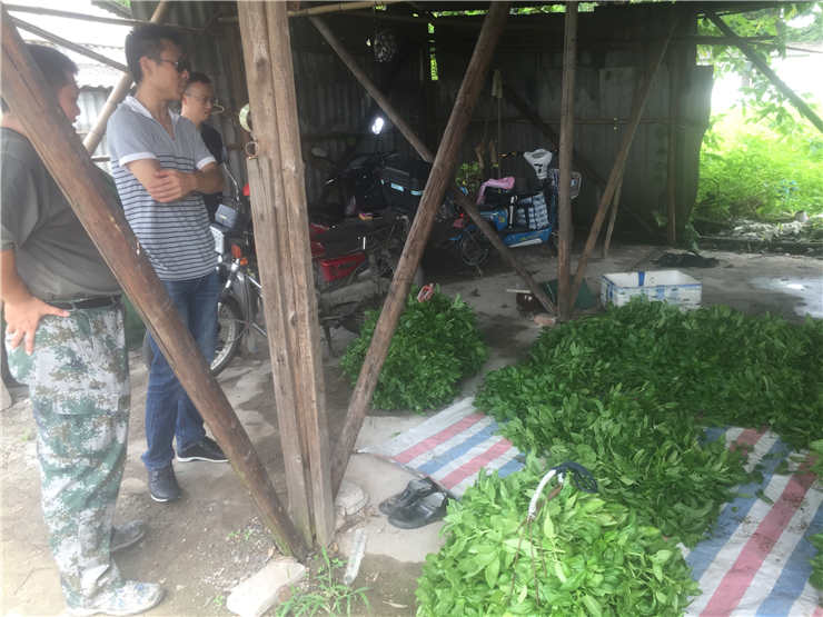 manbet官网-相信品牌力量