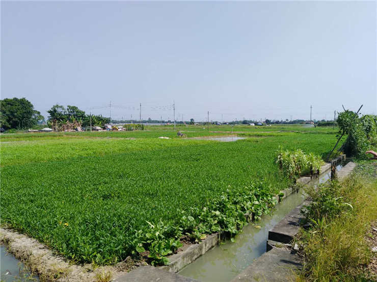 manbet官网-相信品牌力量