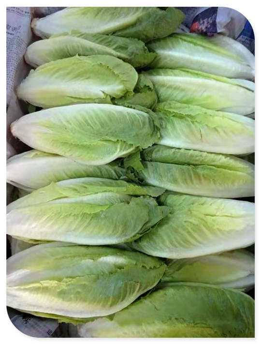 manbet官网-相信品牌力量