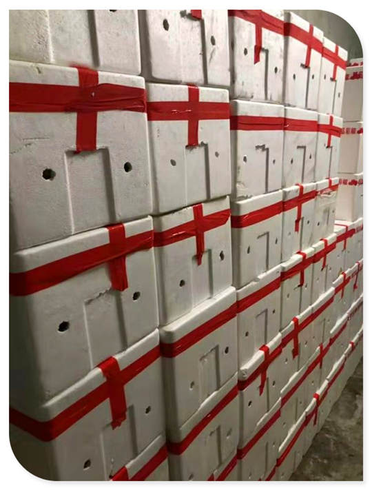 manbet官网-相信品牌力量