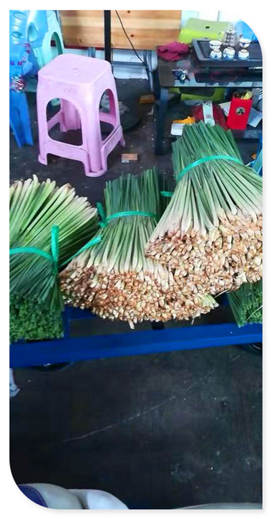 manbet官网-相信品牌力量