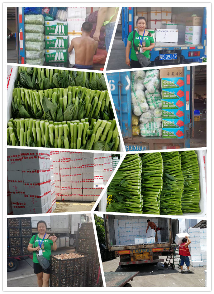 manbet官网-相信品牌力量