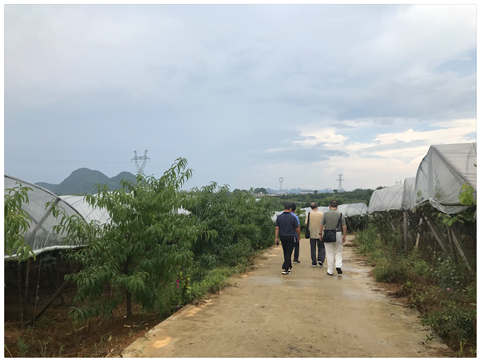 manbet官网-相信品牌力量