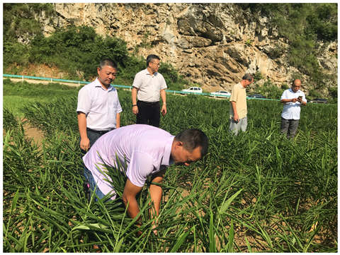 manbet官网-相信品牌力量