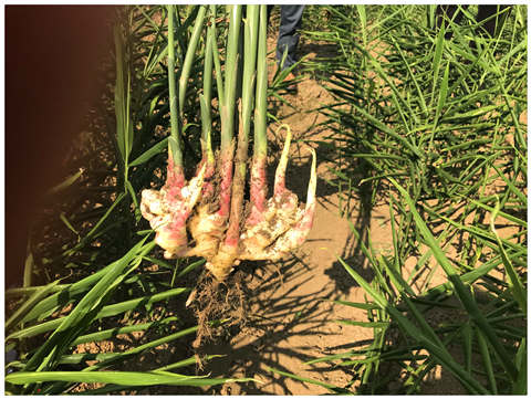 manbet官网-相信品牌力量