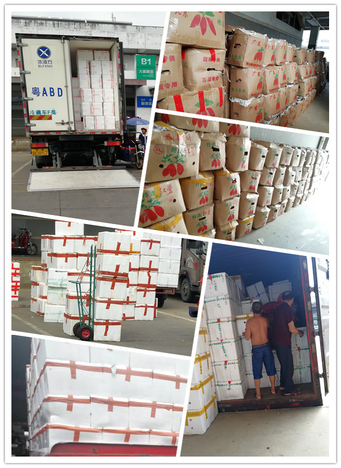 manbet官网-相信品牌力量