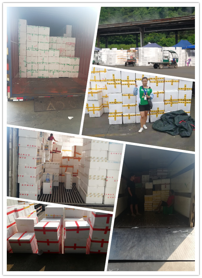 manbet官网-相信品牌力量