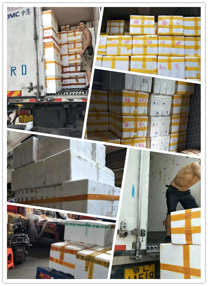 manbet官网-相信品牌力量