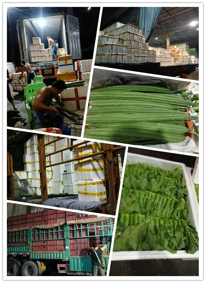 manbet官网-相信品牌力量