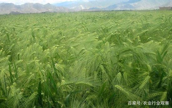 manbet官网-相信品牌力量