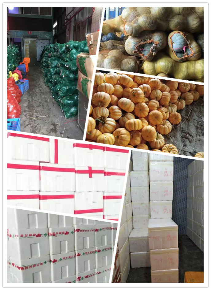 manbet官网-相信品牌力量