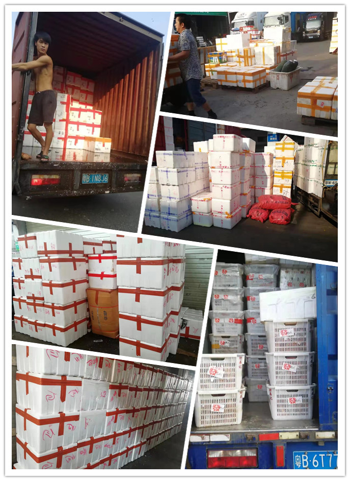 manbet官网-相信品牌力量