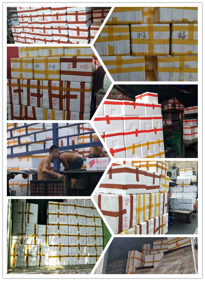 manbet官网-相信品牌力量