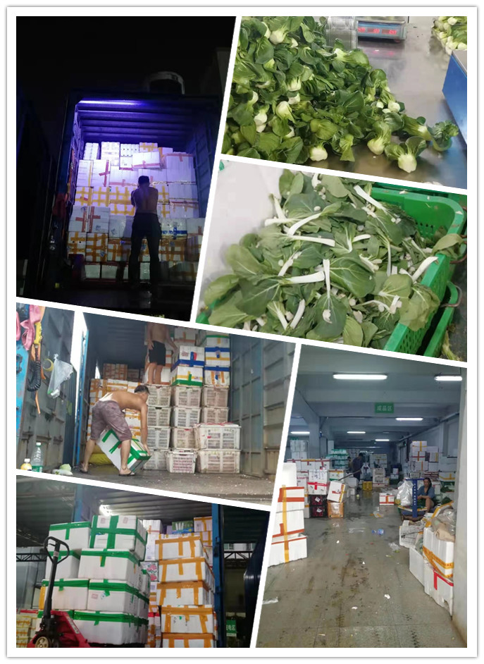 manbet官网-相信品牌力量