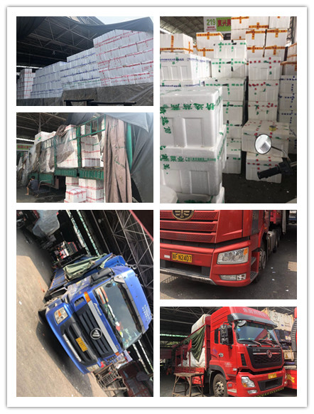 manbet官网-相信品牌力量