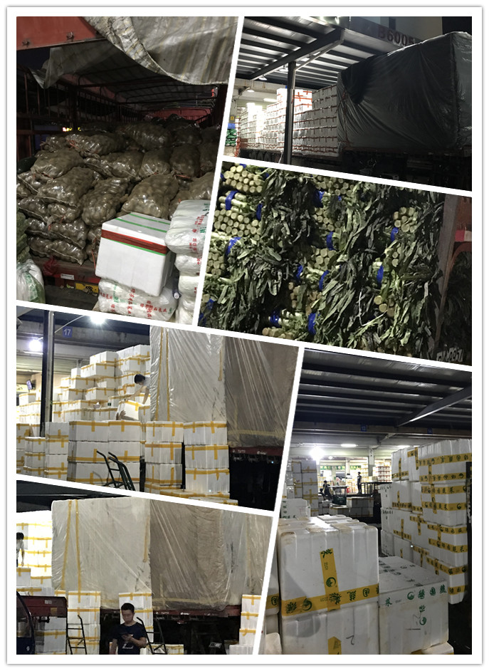 manbet官网-相信品牌力量