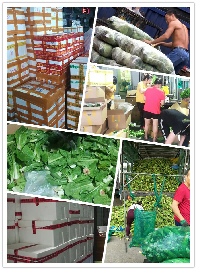 manbet官网-相信品牌力量