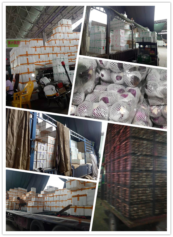 manbet官网-相信品牌力量