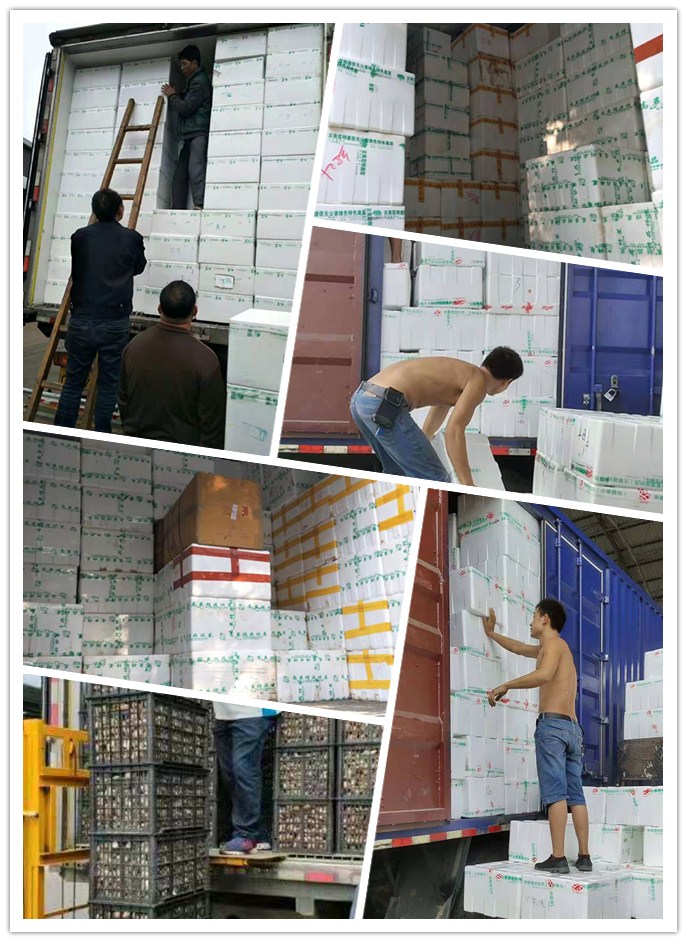 manbet官网-相信品牌力量