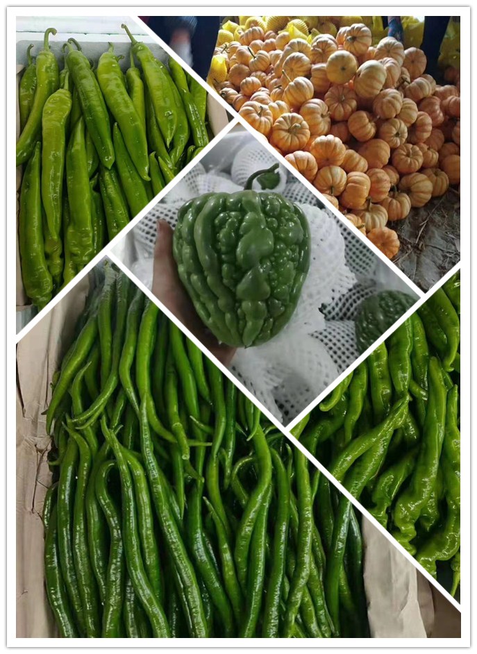 manbet官网-相信品牌力量