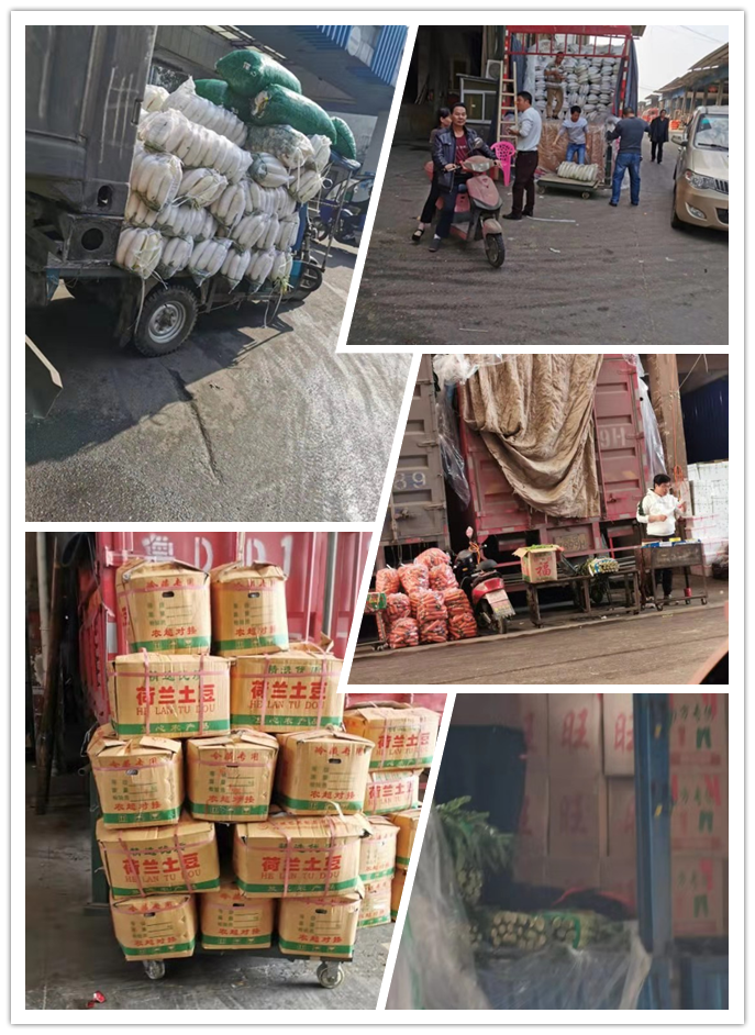 manbet官网-相信品牌力量