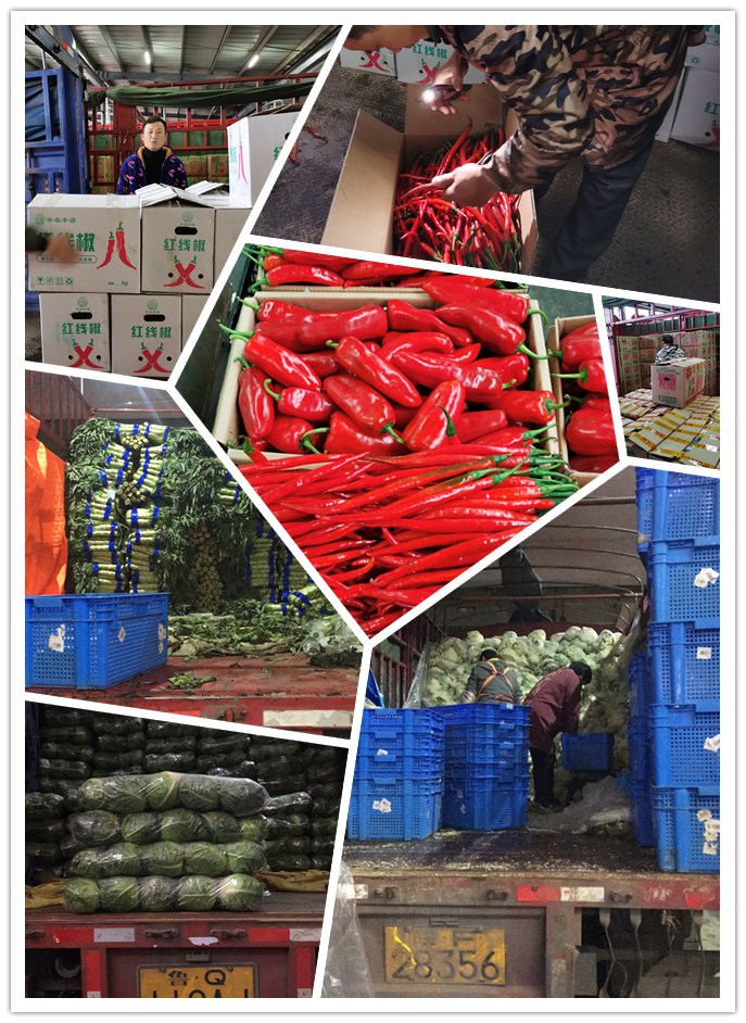 manbet官网-相信品牌力量