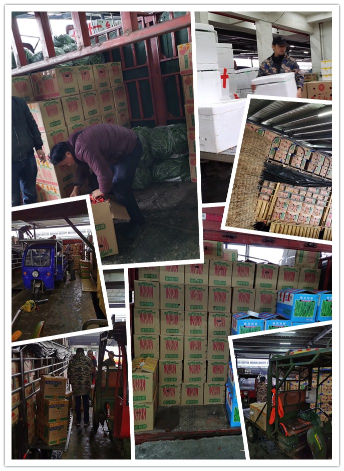 manbet官网-相信品牌力量