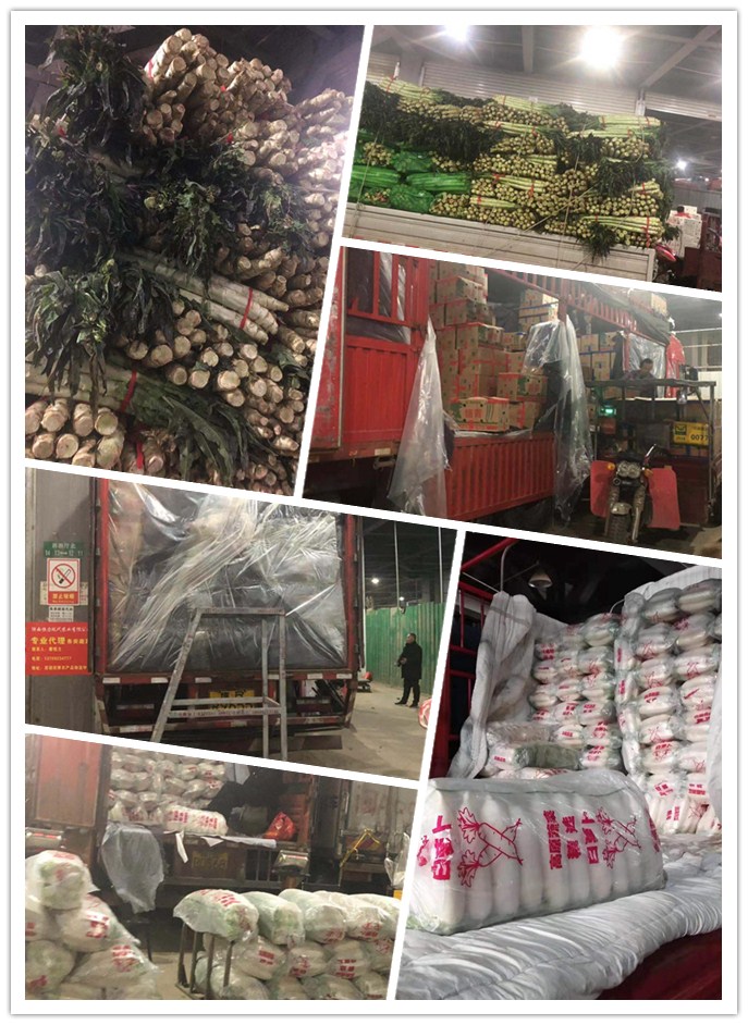 manbet官网-相信品牌力量