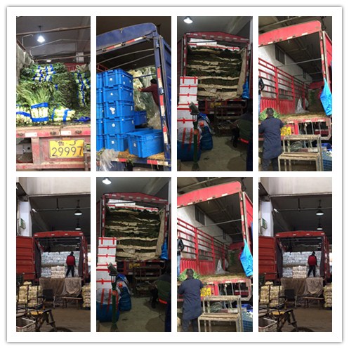 manbet官网-相信品牌力量