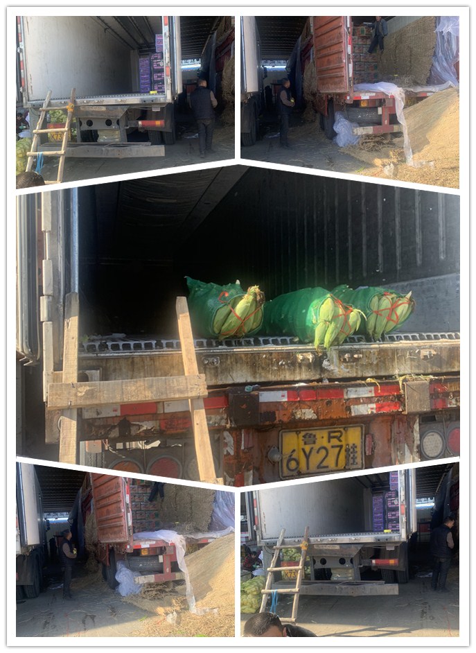 manbet官网-相信品牌力量