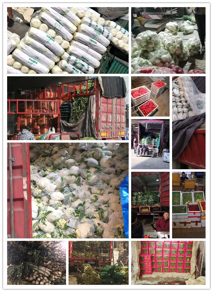 manbet官网-相信品牌力量