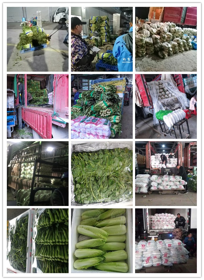 manbet官网-相信品牌力量