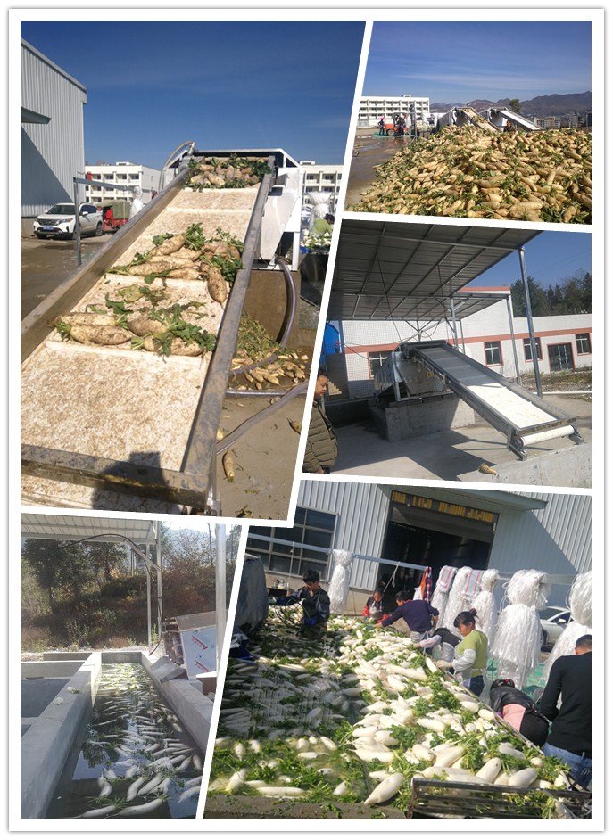 manbet官网-相信品牌力量