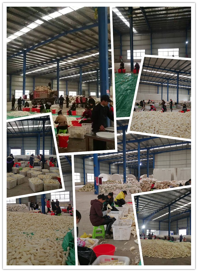 manbet官网-相信品牌力量