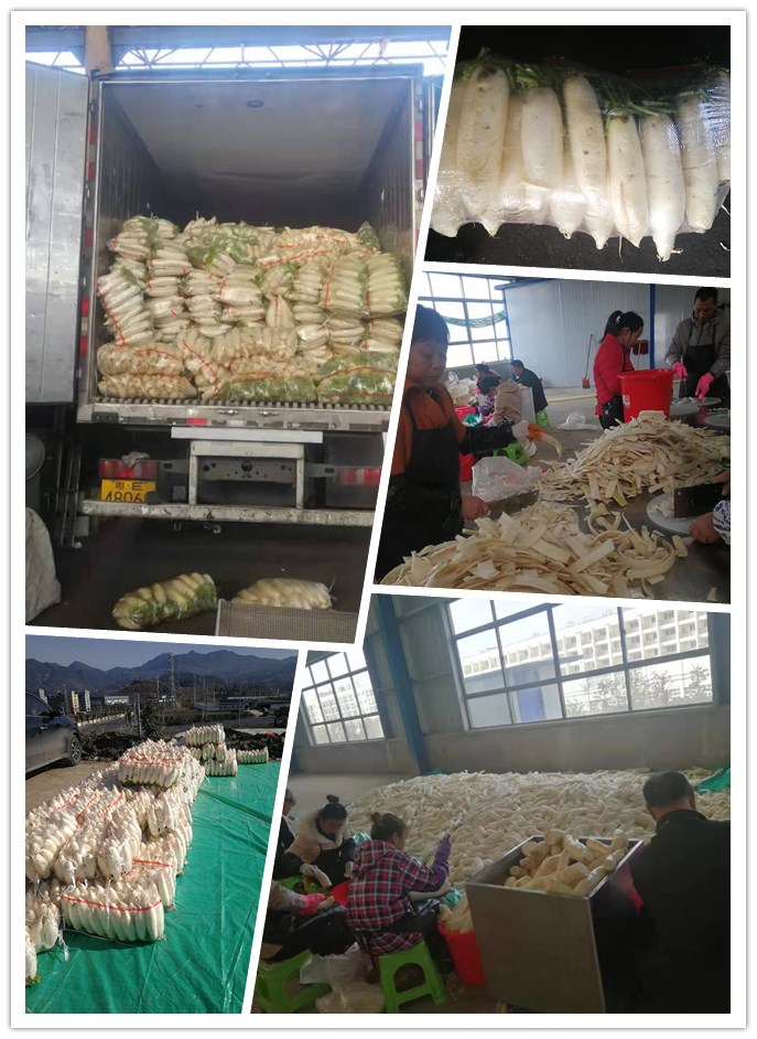 manbet官网-相信品牌力量