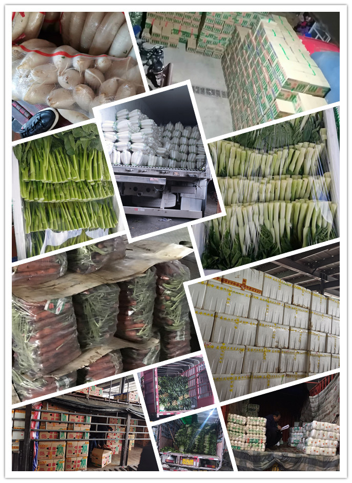 manbet官网-相信品牌力量