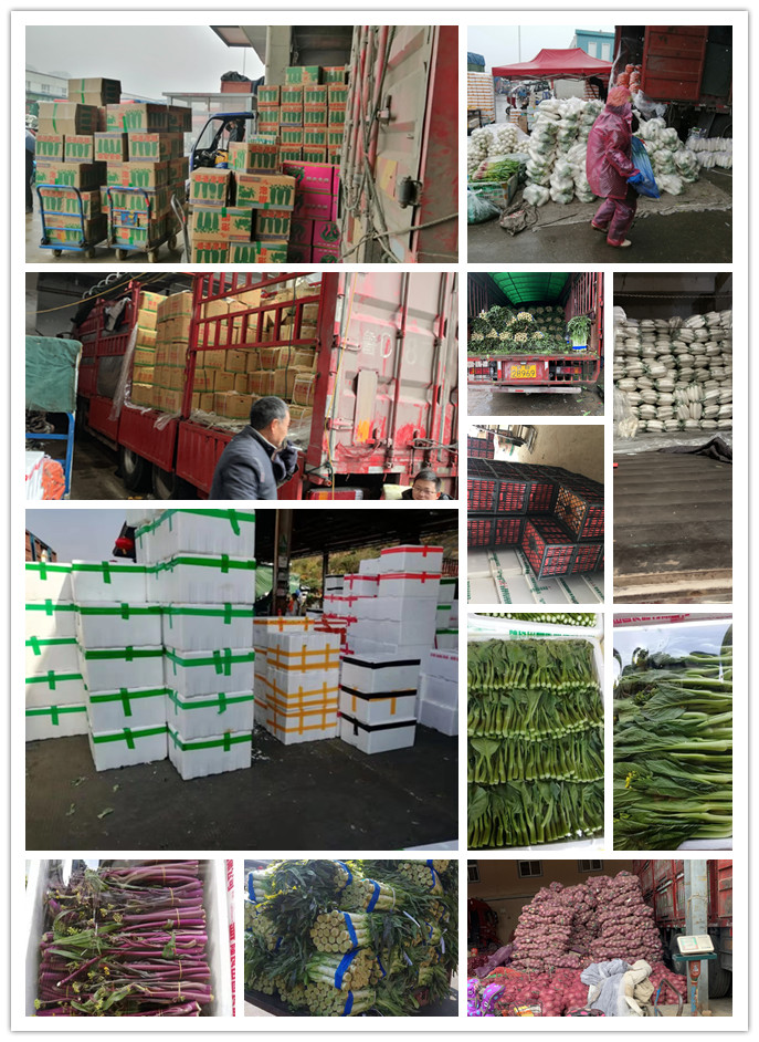 manbet官网-相信品牌力量