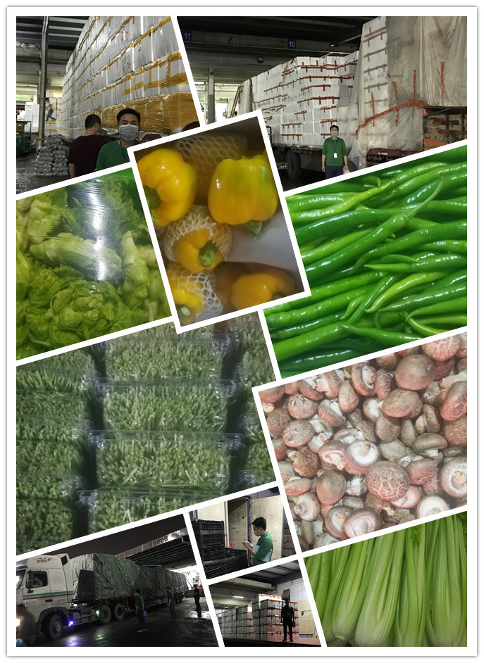 manbet官网-相信品牌力量